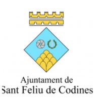 Cursa Festa Major Sant Feliu de Codines - 2025
