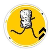 Tap Trail - 2025